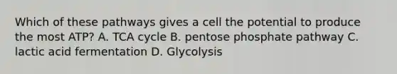 Which of these pathways gives a cell the potential to produce the most ATP? A. TCA cycle B. pentose phosphate pathway C. lactic acid fermentation D. Glycolysis