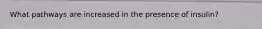 What pathways are increased in the presence of insulin?