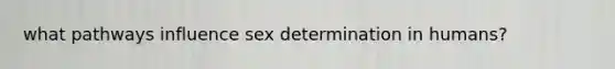 what pathways influence sex determination in humans?