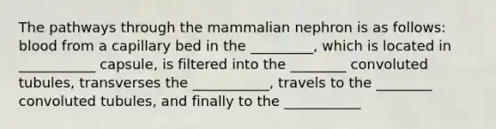 The pathways through the mammalian nephron is as follows: blood from a capillary bed in the _________, which is located in ___________ capsule, is filtered into the ________ convoluted tubules, transverses the ___________, travels to the ________ convoluted tubules, and finally to the ___________