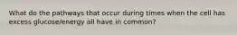 What do the pathways that occur during times when the cell has excess glucose/energy all have in common?