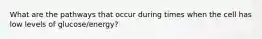 What are the pathways that occur during times when the cell has low levels of glucose/energy?