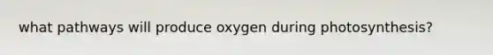 what pathways will produce oxygen during photosynthesis?