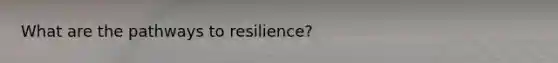 What are the pathways to resilience?