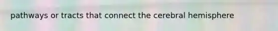 pathways or tracts that connect the cerebral hemisphere