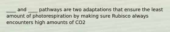 ____ and ____ pathways are two adaptations that ensure the least amount of photorespiration by making sure Rubisco always encounters high amounts of CO2