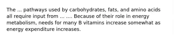 The ... pathways used by carbohydrates, fats, and amino acids all require input from ... .... Because of their role in energy metabolism, needs for many B vitamins increase somewhat as energy expenditure increases.