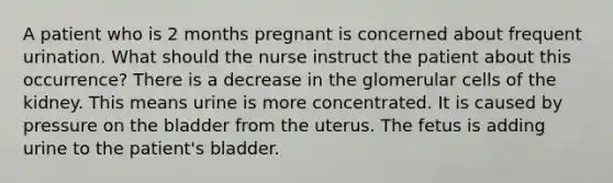 A patient who is 2 months pregnant is concerned about frequent urination. What should the nurse instruct the patient about this occurrence? There is a decrease in the glomerular cells of the kidney. This means urine is more concentrated. It is caused by pressure on the bladder from the uterus. The fetus is adding urine to the patient's bladder.