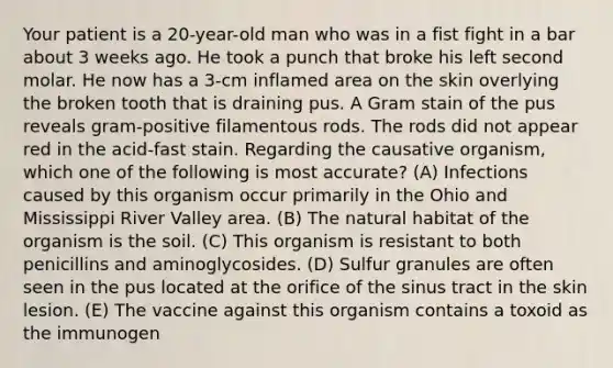 Your patient is a 20-year-old man who was in a fist fight in a bar about 3 weeks ago. He took a punch that broke his left second molar. He now has a 3-cm inflamed area on the skin overlying the broken tooth that is draining pus. A Gram stain of the pus reveals gram-positive filamentous rods. The rods did not appear red in the acid-fast stain. Regarding the causative organism, which one of the following is most accurate? (A) Infections caused by this organism occur primarily in the Ohio and Mississippi River Valley area. (B) The natural habitat of the organism is the soil. (C) This organism is resistant to both penicillins and aminoglycosides. (D) Sulfur granules are often seen in the pus located at the orifice of the sinus tract in the skin lesion. (E) The vaccine against this organism contains a toxoid as the immunogen