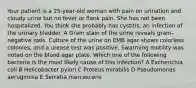 Your patient is a 25-year-old woman with pain on urination and cloudy urine but no fever or flank pain. She has not been hospitalized. You think she probably has cystitis, an infection of the urinary bladder. A Gram stain of the urine reveals gram-negative rods. Culture of the urine on EMB agar shows colorless colonies, and a urease test was positive. Swarming motility was noted on the blood agar plate. Which one of the following bacteria is the most likely cause of this infection? A Escherichia coli B Helicobacter pylori C Proteus mirabilis D Pseudomonas aeruginosa E Serratia marcescens