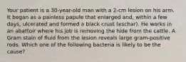 Your patient is a 30-year-old man with a 2-cm lesion on his arm. It began as a painless papule that enlarged and, within a few days, ulcerated and formed a black crust (eschar). He works in an abattoir where his job is removing the hide from the cattle. A Gram stain of fluid from the lesion reveals large gram-positive rods. Which one of the following bacteria is likely to be the cause?