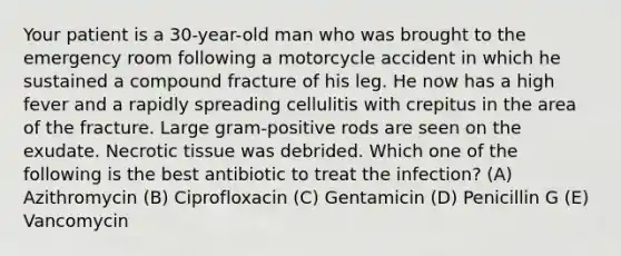 Your patient is a 30-year-old man who was brought to the emergency room following a motorcycle accident in which he sustained a compound fracture of his leg. He now has a high fever and a rapidly spreading cellulitis with crepitus in the area of the fracture. Large gram-positive rods are seen on the exudate. Necrotic tissue was debrided. Which one of the following is the best antibiotic to treat the infection? (A) Azithromycin (B) Ciprofloxacin (C) Gentamicin (D) Penicillin G (E) Vancomycin