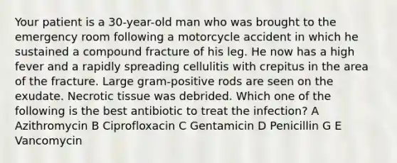 Your patient is a 30-year-old man who was brought to the emergency room following a motorcycle accident in which he sustained a compound fracture of his leg. He now has a high fever and a rapidly spreading cellulitis with crepitus in the area of the fracture. Large gram-positive rods are seen on the exudate. Necrotic tissue was debrided. Which one of the following is the best antibiotic to treat the infection? A Azithromycin B Ciprofloxacin C Gentamicin D Penicillin G E Vancomycin