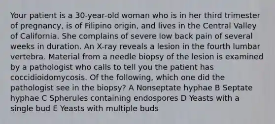 Your patient is a 30-year-old woman who is in her third trimester of pregnancy, is of Filipino origin, and lives in the Central Valley of California. She complains of severe low back pain of several weeks in duration. An X-ray reveals a lesion in the fourth lumbar vertebra. Material from a needle biopsy of the lesion is examined by a pathologist who calls to tell you the patient has coccidioidomycosis. Of the following, which one did the pathologist see in the biopsy? A Nonseptate hyphae B Septate hyphae C Spherules containing endospores D Yeasts with a single bud E Yeasts with multiple buds