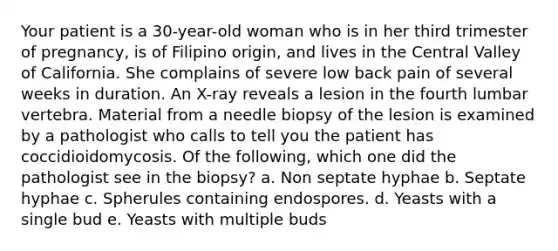 Your patient is a 30-year-old woman who is in her third trimester of pregnancy, is of Filipino origin, and lives in the Central Valley of California. She complains of severe low back pain of several weeks in duration. An X-ray reveals a lesion in the fourth lumbar vertebra. Material from a needle biopsy of the lesion is examined by a pathologist who calls to tell you the patient has coccidioidomycosis. Of the following, which one did the pathologist see in the biopsy? a. Non septate hyphae b. Septate hyphae c. Spherules containing endospores. d. Yeasts with a single bud e. Yeasts with multiple buds