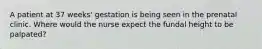 A patient at 37 weeks' gestation is being seen in the prenatal clinic. Where would the nurse expect the fundal height to be palpated?