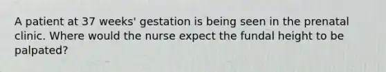 A patient at 37 weeks' gestation is being seen in the prenatal clinic. Where would the nurse expect the fundal height to be palpated?