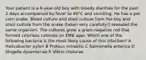 Your patient is a 6-year-old boy with bloody diarrhea for the past 2 days accompanied by fever to 40°C and vomiting. He has a pet corn snake. Blood culture and stool culture from the boy and stool culture from the snake (taken very carefully!) revealed the same organism. The cultures grew a gram-negative rod that formed colorless colonies on EMB agar. Which one of the following bacteria is the most likely cause of this infection? A Helicobacter pylori B Proteus mirabilis C Salmonella enterica D Shigella dysenteriae E Vibrio cholerae