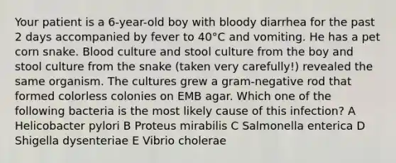 Your patient is a 6-year-old boy with bloody diarrhea for the past 2 days accompanied by fever to 40°C and vomiting. He has a pet corn snake. Blood culture and stool culture from the boy and stool culture from the snake (taken very carefully!) revealed the same organism. The cultures grew a gram-negative rod that formed colorless colonies on EMB agar. Which one of the following bacteria is the most likely cause of this infection? A Helicobacter pylori B Proteus mirabilis C Salmonella enterica D Shigella dysenteriae E Vibrio cholerae