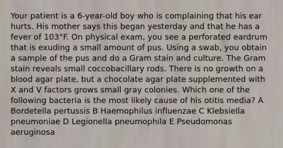 Your patient is a 6-year-old boy who is complaining that his ear hurts. His mother says this began yesterday and that he has a fever of 103°F. On physical exam, you see a perforated eardrum that is exuding a small amount of pus. Using a swab, you obtain a sample of the pus and do a Gram stain and culture. The Gram stain reveals small coccobacillary rods. There is no growth on a blood agar plate, but a chocolate agar plate supplemented with X and V factors grows small gray colonies. Which one of the following bacteria is the most likely cause of his otitis media? A Bordetella pertussis B Haemophilus influenzae C Klebsiella pneumoniae D Legionella pneumophila E Pseudomonas aeruginosa