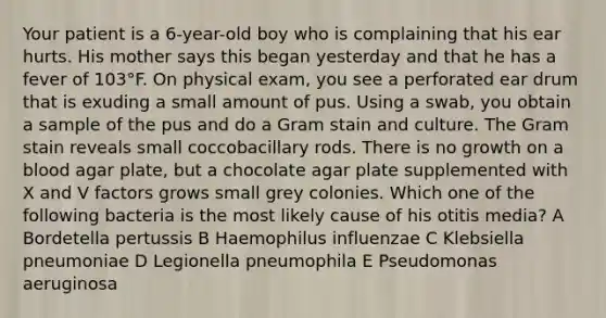 Your patient is a 6-year-old boy who is complaining that his ear hurts. His mother says this began yesterday and that he has a fever of 103°F. On physical exam, you see a perforated ear drum that is exuding a small amount of pus. Using a swab, you obtain a sample of the pus and do a Gram stain and culture. The Gram stain reveals small coccobacillary rods. There is no growth on a blood agar plate, but a chocolate agar plate supplemented with X and V factors grows small grey colonies. Which one of the following bacteria is the most likely cause of his otitis media? A Bordetella pertussis B Haemophilus influenzae C Klebsiella pneumoniae D Legionella pneumophila E Pseudomonas aeruginosa