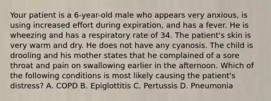 Your patient is a 6-year-old male who appears very anxious, is using increased effort during expiration, and has a fever. He is wheezing and has a respiratory rate of 34. The patient's skin is very warm and dry. He does not have any cyanosis. The child is drooling and his mother states that he complained of a sore throat and pain on swallowing earlier in the afternoon. Which of the following conditions is most likely causing the patient's distress? A. COPD B. Epiglottitis C. Pertussis D. Pneumonia