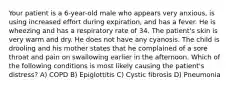 Your patient is a 6-year-old male who appears very anxious, is using increased effort during expiration, and has a fever. He is wheezing and has a respiratory rate of 34. The patient's skin is very warm and dry. He does not have any cyanosis. The child is drooling and his mother states that he complained of a sore throat and pain on swallowing earlier in the afternoon. Which of the following conditions is most likely causing the patient's distress? A) COPD B) Epiglottitis C) Cystic fibrosis D) Pneumonia