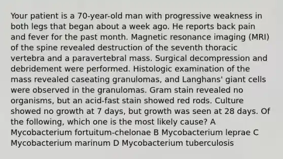 Your patient is a 70-year-old man with progressive weakness in both legs that began about a week ago. He reports back pain and fever for the past month. Magnetic resonance imaging (MRI) of the spine revealed destruction of the seventh thoracic vertebra and a paravertebral mass. Surgical decompression and debridement were performed. Histologic examination of the mass revealed caseating granulomas, and Langhans' giant cells were observed in the granulomas. Gram stain revealed no organisms, but an acid-fast stain showed red rods. Culture showed no growth at 7 days, but growth was seen at 28 days. Of the following, which one is the most likely cause? A Mycobacterium fortuitum-chelonae B Mycobacterium leprae C Mycobacterium marinum D Mycobacterium tuberculosis