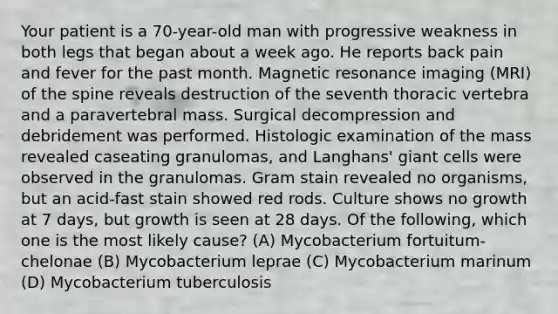 Your patient is a 70-year-old man with progressive weakness in both legs that began about a week ago. He reports back pain and fever for the past month. Magnetic resonance imaging (MRI) of the spine reveals destruction of the seventh thoracic vertebra and a paravertebral mass. Surgical decompression and debridement was performed. Histologic examination of the mass revealed caseating granulomas, and Langhans' giant cells were observed in the granulomas. Gram stain revealed no organisms, but an acid-fast stain showed red rods. Culture shows no growth at 7 days, but growth is seen at 28 days. Of the following, which one is the most likely cause? (A) Mycobacterium fortuitum-chelonae (B) Mycobacterium leprae (C) Mycobacterium marinum (D) Mycobacterium tuberculosis