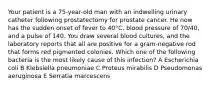 Your patient is a 75-year-old man with an indwelling urinary catheter following prostatectomy for prostate cancer. He now has the sudden onset of fever to 40°C, blood pressure of 70/40, and a pulse of 140. You draw several blood cultures, and the laboratory reports that all are positive for a gram-negative rod that forms red pigmented colonies. Which one of the following bacteria is the most likely cause of this infection? A Escherichia coli B Klebsiella pneumoniae C Proteus mirabilis D Pseudomonas aeruginosa E Serratia marcescens