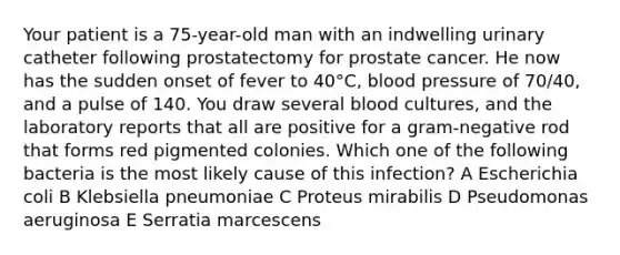 Your patient is a 75-year-old man with an indwelling urinary catheter following prostatectomy for prostate cancer. He now has the sudden onset of fever to 40°C, <a href='https://www.questionai.com/knowledge/kD0HacyPBr-blood-pressure' class='anchor-knowledge'>blood pressure</a> of 70/40, and a pulse of 140. You draw several blood cultures, and the laboratory reports that all are positive for a gram-negative rod that forms red pigmented colonies. Which one of the following bacteria is the most likely cause of this infection? A Escherichia coli B Klebsiella pneumoniae C Proteus mirabilis D Pseudomonas aeruginosa E Serratia marcescens