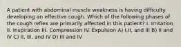 A patient with abdominal muscle weakness is having difficulty developing an effective cough. Which of the following phases of the cough reflex are primarily affected in this patient? I. Irritation II. Inspiration III. Compression IV. Expulsion A) I,II, and III B) II and IV C) II, III, and IV D) III and IV