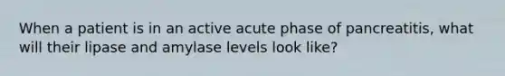 When a patient is in an active acute phase of pancreatitis, what will their lipase and amylase levels look like?