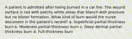 A patient is admitted after being burned in a car fire. The wound surface is red with patchy white areas that blanch with pressure but no blister formation. What kind of burn would the nurse document in the patient's record? a. Superficial partial-thickness burn b. Moderate partial-thickness burn c. Deep dermal partial-thickness burn d. Full-thickness burn