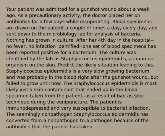 Your patient was admitted for a gunshot wound about a week ago. As a precautionary activity, the doctor placed her on antibiotics for a few days while recuperating. Blood specimens are drawn on the patient a couple of times a day, every day, and sent down to the microbiology lab for analysis of bacteria. Nothing has grown in culture. After her 4th day in the hospital--no fever, no infection identified--one set of blood specimens has been reported positive for a bacterium. The culture was identified by the lab as Staphylococcus epidermidis, a common organism on the skin. Predict the likely situation leading to this. Staphylococcus epidermidis is a very slow growing bacterium and was probably in the blood right after the gunshot wound, but failed to grow until now. The Staphylococcus epidermidis is most likely just a skin contaminant that ended up in the blood specimen taken from the patient, as a result of bad aseptic technique during the venipuncture. The patient is immunodepressed and very susceptible to bacterial infection. The seemingly nonpathogen Staphylococcus epidermidis has converted from a nonpathogen to a pathogen because of the antibiotics that the patient has taken.