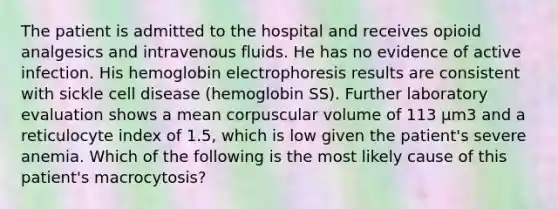 The patient is admitted to the hospital and receives opioid analgesics and intravenous fluids. He has no evidence of active infection. His hemoglobin electrophoresis results are consistent with sickle cell disease (hemoglobin SS). Further laboratory evaluation shows a mean corpuscular volume of 113 µm3 and a reticulocyte index of 1.5, which is low given the patient's severe anemia. Which of the following is the most likely cause of this patient's macrocytosis?