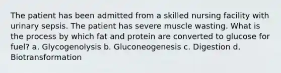 The patient has been admitted from a skilled nursing facility with urinary sepsis. The patient has severe muscle wasting. What is the process by which fat and protein are converted to glucose for fuel? a. Glycogenolysis b. Gluconeogenesis c. Digestion d. Biotransformation