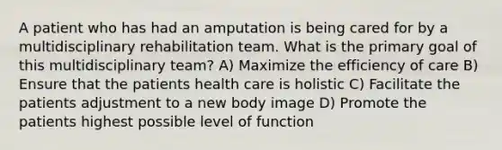 A patient who has had an amputation is being cared for by a multidisciplinary rehabilitation team. What is the primary goal of this multidisciplinary team? A) Maximize the efficiency of care B) Ensure that the patients health care is holistic C) Facilitate the patients adjustment to a new body image D) Promote the patients highest possible level of function