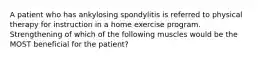 A patient who has ankylosing spondylitis is referred to physical therapy for instruction in a home exercise program. Strengthening of which of the following muscles would be the MOST beneficial for the patient?