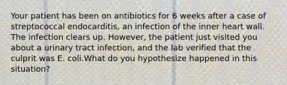 Your patient has been on antibiotics for 6 weeks after a case of streptococcal endocarditis, an infection of the inner heart wall. The infection clears up. However, the patient just visited you about a urinary tract infection, and the lab verified that the culprit was E. coli.What do you hypothesize happened in this situation?