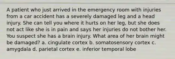 A patient who just arrived in the emergency room with injuries from a car accident has a severely damaged leg and a head injury. She can tell you where it hurts on her leg, but she does not act like she is in pain and says her injuries do not bother her. You suspect she has a brain injury. What area of her brain might be damaged? a. cingulate cortex b. somatosensory cortex c. amygdala d. parietal cortex e. inferior temporal lobe