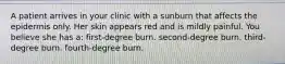 A patient arrives in your clinic with a sunburn that affects the epidermis only. Her skin appears red and is mildly painful. You believe she has a: first-degree burn. second-degree burn. third-degree burn. fourth-degree burn.