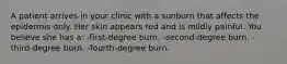 A patient arrives in your clinic with a sunburn that affects the epidermis only. Her skin appears red and is mildly painful. You believe she has a: -first-degree burn. -second-degree burn. -third-degree burn. -fourth-degree burn.