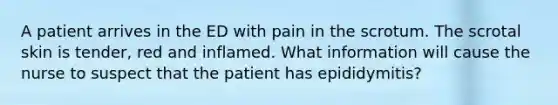 A patient arrives in the ED with pain in the scrotum. The scrotal skin is tender, red and inflamed. What information will cause the nurse to suspect that the patient has epididymitis?