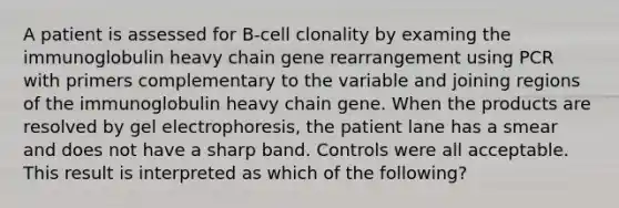 A patient is assessed for B-cell clonality by examing the immunoglobulin heavy chain gene rearrangement using PCR with primers complementary to the variable and joining regions of the immunoglobulin heavy chain gene. When the products are resolved by gel electrophoresis, the patient lane has a smear and does not have a sharp band. Controls were all acceptable. This result is interpreted as which of the following?