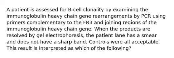 A patient is assessed for B-cell clonality by examining the immunoglobulin heavy chain gene rearrangements by PCR using primers complementary to the FR3 and joining regions of the immunoglobulin heavy chain gene. When the products are resolved by gel electrophoresis, the patient lane has a smear and does not have a sharp band. Controls were all acceptable. This result is interpreted as which of the following?