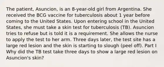 The patient, Asuncion, is an 8-year-old girl from Argentina. She received the BCG vaccine for tuberculosis about 1 year before coming to the United States. Upon entering school in the United States, she must take a skin test for tuberculosis (TB). Asuncion tries to refuse but is told it is a requirement. She allows the nurse to apply the test to her arm. Three days later, the test site has a large red lesion and the skin is starting to slough (peel off). Part I Why did the TB test take three days to show a large red lesion on Asuncion's skin?