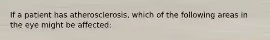 If a patient has atherosclerosis, which of the following areas in the eye might be affected: