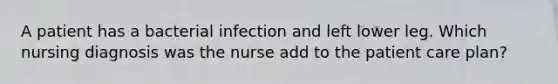 A patient has a bacterial infection and left lower leg. Which nursing diagnosis was the nurse add to the patient care plan?