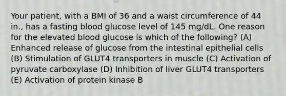 Your patient, with a BMI of 36 and a waist circumference of 44 in., has a fasting blood glucose level of 145 mg/dL. One reason for the elevated blood glucose is which of the following? (A) Enhanced release of glucose from the intestinal epithelial cells (B) Stimulation of GLUT4 transporters in muscle (C) Activation of pyruvate carboxylase (D) Inhibition of liver GLUT4 transporters (E) Activation of protein kinase B